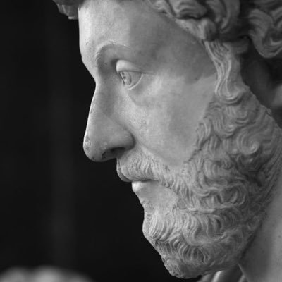 SPQRMMXX's profile picture. 