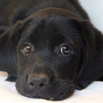 aki_33927's profile picture. 