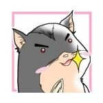 H58さんのプロフィール画像