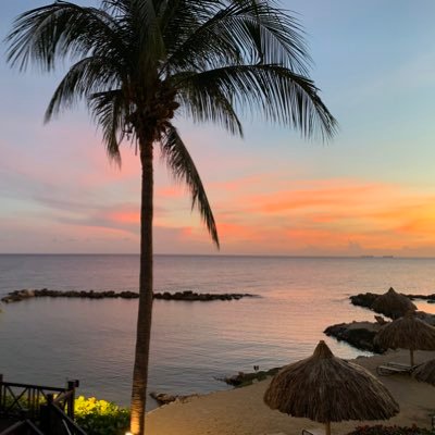 avanthullenaar's profile picture. 