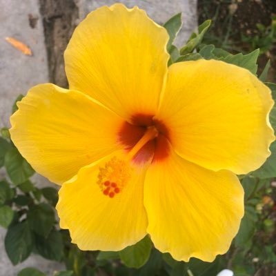 dailyphotosourc's profile picture. 