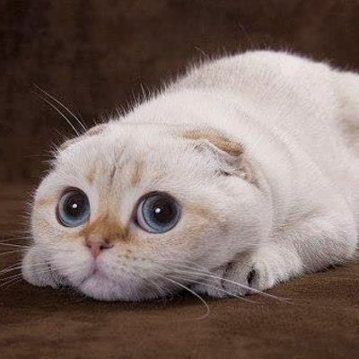 omahon06's profile picture. 