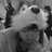 ImASpaceCat's profile image