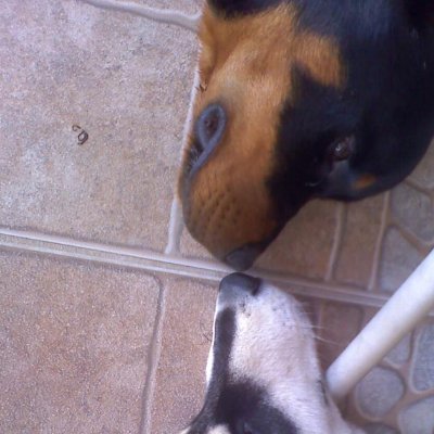 DezBDee's profile picture. 