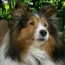 Zak James - @TheGladeRunner - Twitter