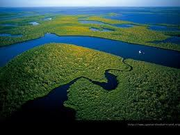 News about the effort to restore the Everglades.  Northern Everglades, Big Cypress, Picyune Strand, Biscayne/Florida bays, & its endangered wildlife