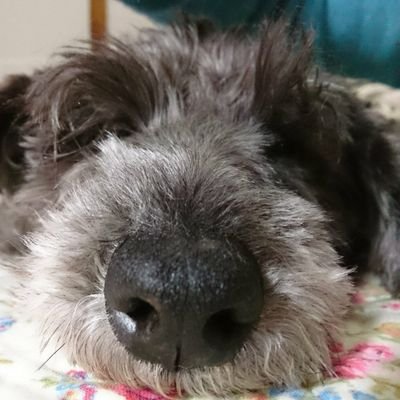 ぐぐ ドラえもんかわいいな それにしても不思議なんだけど これ同じ絵だよね 背景が黒だと ドラえもんが正面を向いてるように見えて 背景が白だとドラえもんが下を向いているように見えるの自分だけ ドラえもん 郵便局限定ドラえもん ぐぐ ドラえもんかわいいな それにしても不思議なんだけど これ同じ絵だよね 背景が黒だと ドラえもんが正面を向いてるように見えて 背景が白だとドラえもんが下を向いているように見えるの自分だけ ドラえもん 郵便局限定ドラえもん