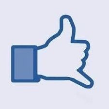 1Haole's profile picture. 