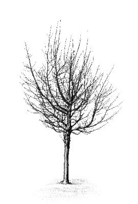 PowderedThe's profile picture. Quiet songs by George Moorey and Shane Young. 
Hoping to make meaningful connections with real people.