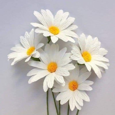 EssraaSaidy's profile picture. نقش الحزن بقلبي مثل نقش في حجر ...كلما أكبر عاما فاق عمري بالكبر...