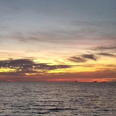 HHC_14's profile picture. 🦅💙💛⚽️