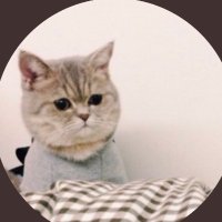 ʚɞ (@brbilenesorsak) 's Twitter Profile Photo