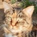 CES Sant Feliu (@cesfeliu) Twitter profile photo CES Sant Feliu (@cesfeliu) Twitter profile photo