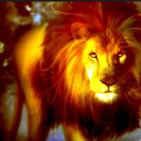 HEDEF 25💛♥️ (@soner64411541) 's Twitter Profile Photo HEDEF 25💛♥️ (@soner64411541) 's Twitter Profile Photo