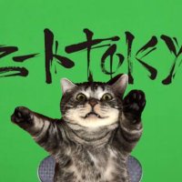 πγγΎγγπ (@g0mashl0) 's Twitter Profile