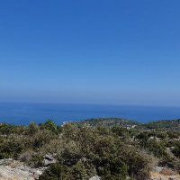 memo (@memo_813) 's Twitter Profile Photo