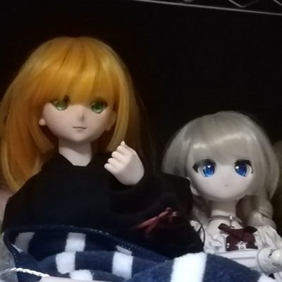 @iij5y38ghtneigb のドール、メガミデバイス、フィギュア関係の情報収集 かわいい子見つけたらrtする