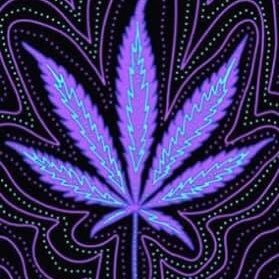 StonerChick420w's profile picture. Canadian, Stoner, Bisexual 👌🏻👄💨☘️