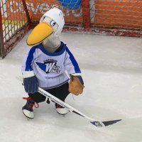 Stan Swanowski (@stan_swanowski) 's Twitter Profile