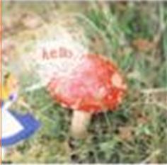 lovergirl470's profile picture. 