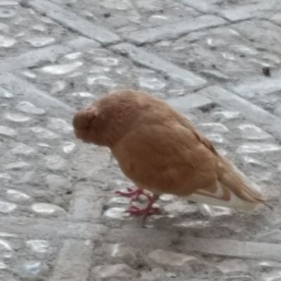 coderboy93's profile picture. It's Just Me!