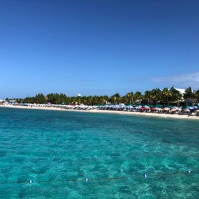 cigarashh's profile picture. 