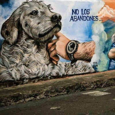 No existen reglas, ni el romance perfecto. There are no rules, neither a perfec romance. ❤️🇲🇽❤️
❤️🐾🐾💞
