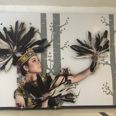 optikacc's profile picture. 