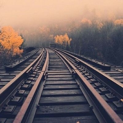 ragulsha's profile picture. 
