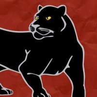 SWCJAGS (@swcjags) 's Twitter Profile