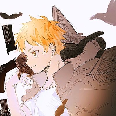 とらうとさんのプロフィール画像