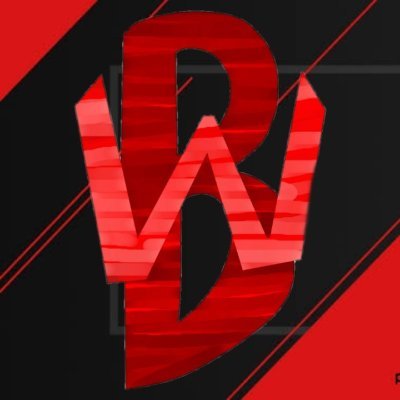 🇧🇷 l Organização Brasileira Focada no competitivo de Fortnite