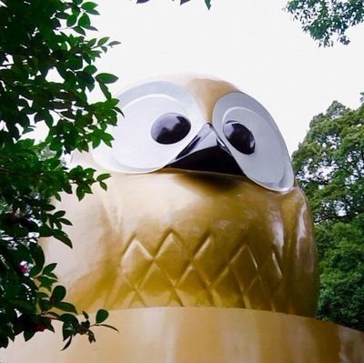 えいさんのプロフィール画像