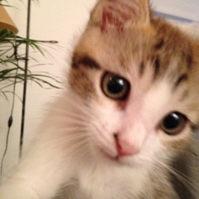 clem341101's profile picture. ❤️