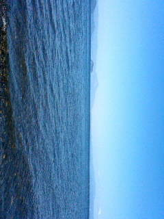 stepstep123's profile picture. 