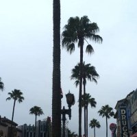 Haxorus (@hcxorus) 's Twitter Profile
