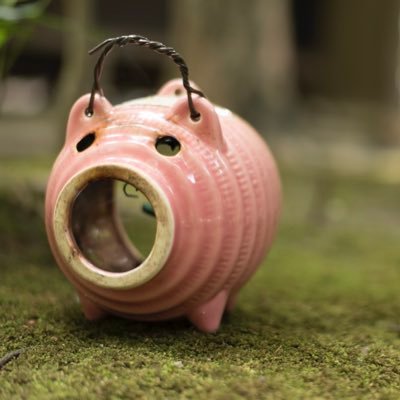 kogechasoda's profile picture. ロックマントリッガーの帰還を待ち続ける、路傍に咲く一輪の野花