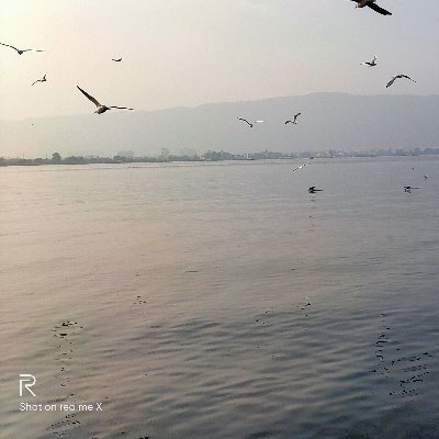 jimmy72037429's profile picture. لا اله الا الله محمد رسول الله Hindustan zindabad !