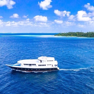 AISHASAFARI's profile picture. 