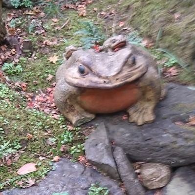 つぐもさんのプロフィール画像
