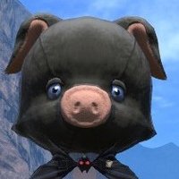 もこもこ (@mokomoko_1031) 's Twitter Profile