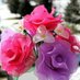 S💞💞💞💞A (@bent_elghaleen) Twitter profile photo S💞💞💞💞A (@bent_elghaleen) Twitter profile photo