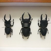 安立佳優 (@adachi_ky) Twitter profile photo