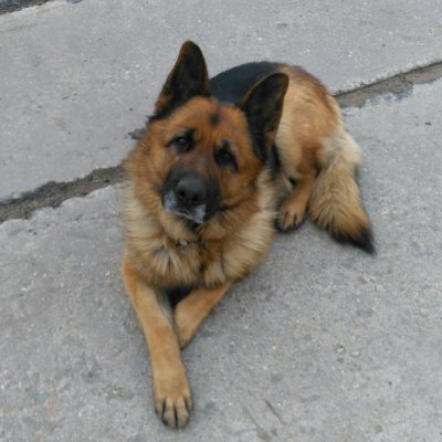 Бывший..Корефан.Инвалид труда.Возможно умственного..2204 2401 1209 1196 ..Если чё.