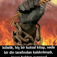 Alişer Gencali (@alisergencali) Twitter profile photo