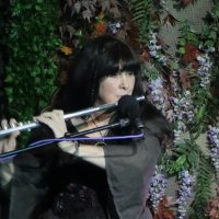 Kim Thompsett (@kimthompsett) 's Twitter Profile