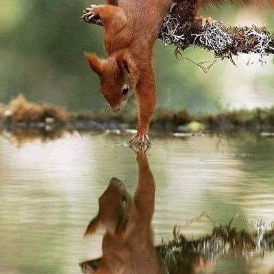 jmay54's profile picture. Once an independent voter, voted for President Trump three times, now a conservative Republican forever. An American who loves our country, and wants it back.