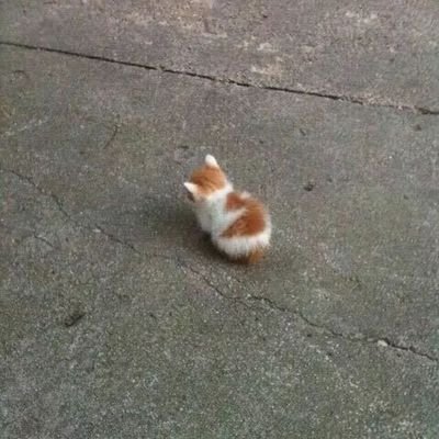 luさんのプロフィール画像