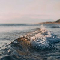 هــديـل🕊 (@hadeelalahmadi) 's Twitter Profile