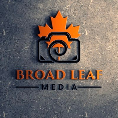 Broad Leaf Media